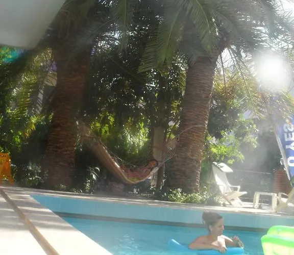 Palm 3*