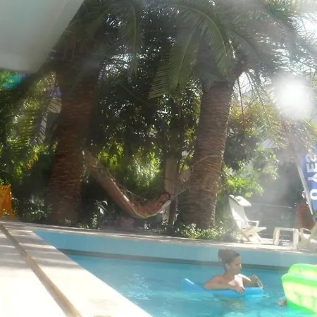 Palm 3*