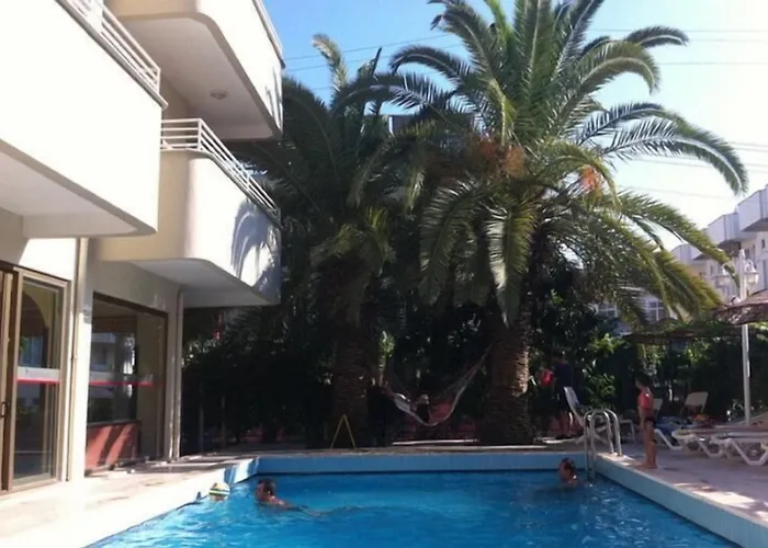 Palm 3*