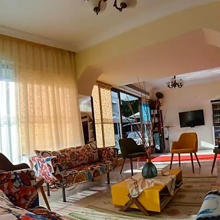 Palm Hotel 3*