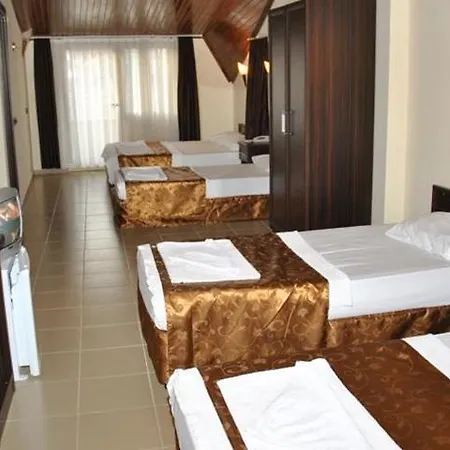 Ξενοδοχείο Palm 3*