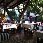 Palm فندق