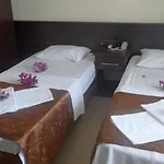 Palm مرمريس