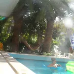 Palm 3*
