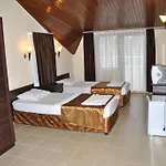 فندق Palm 3*