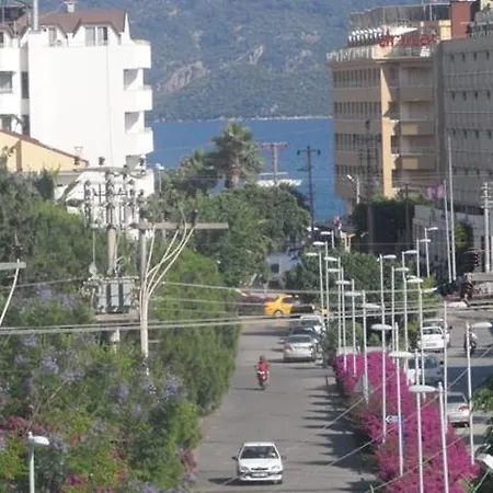 فندق Palm