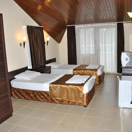 فندق Palm 3*