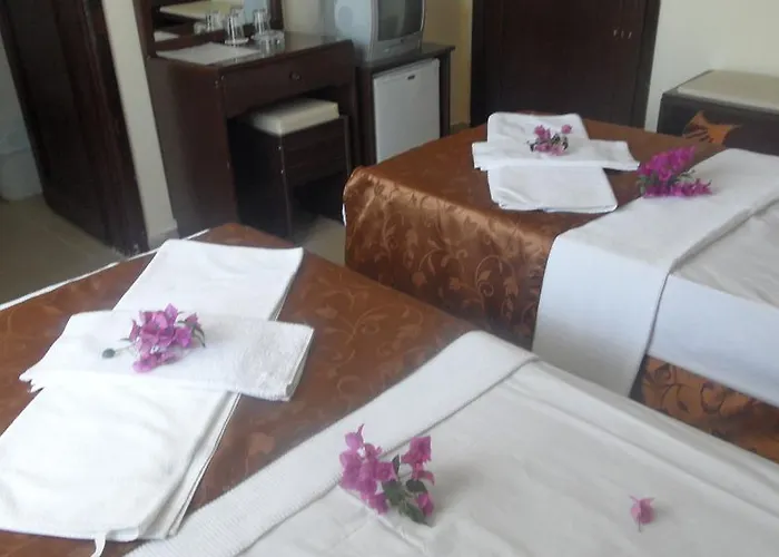 Palm 3* マルマリス