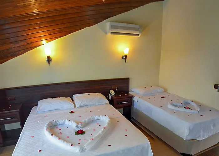 Palm マルマリス