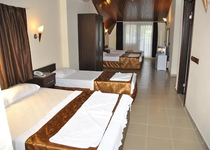 Palm 3* マルマリス